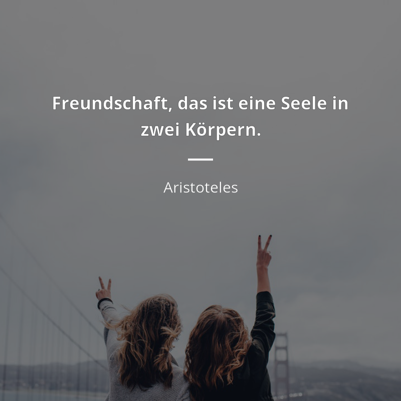 Aristoteles zitat: „Freundschaft, das ist eine Seele in zwei Körpern.“